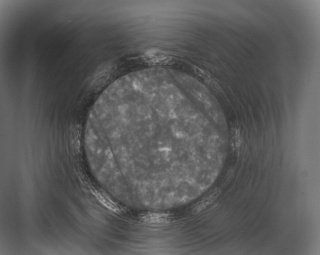 X0000081590664200702121515