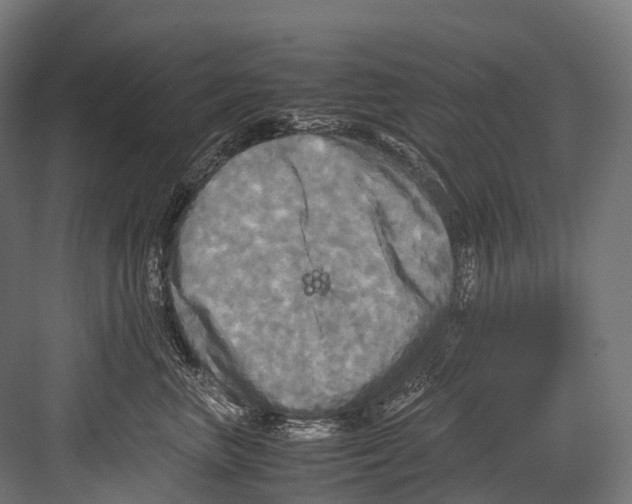 X0000081590667200702121515