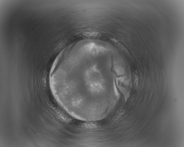 X0000081590668200702121515