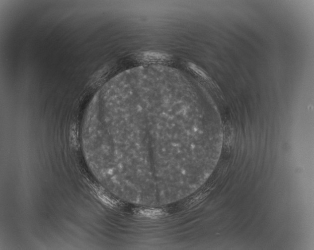 X0000081590669200702121515