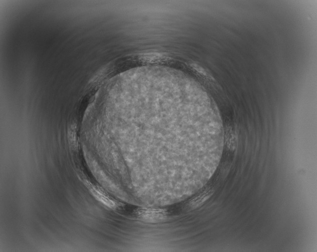 X0000081590670200702121515