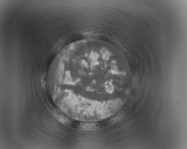 X0000081590671200702121515