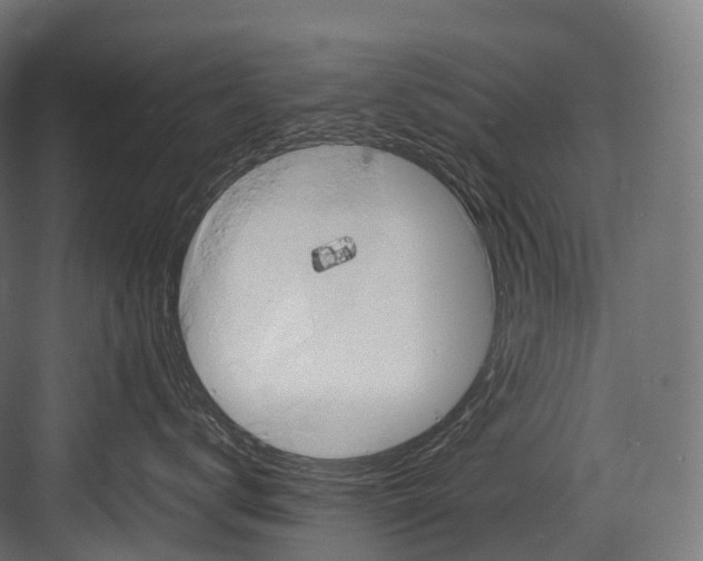 X0000081590672200702121515