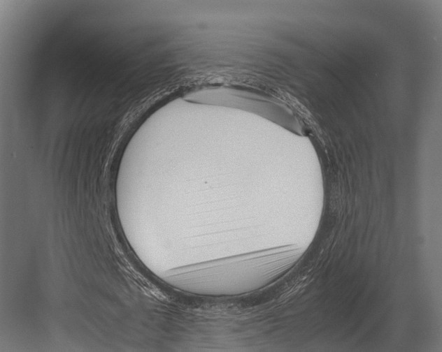 X0000081590673200702121515