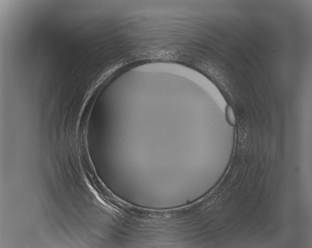 X0000081590674200702121515