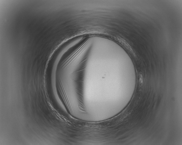 X0000081590676200702121515