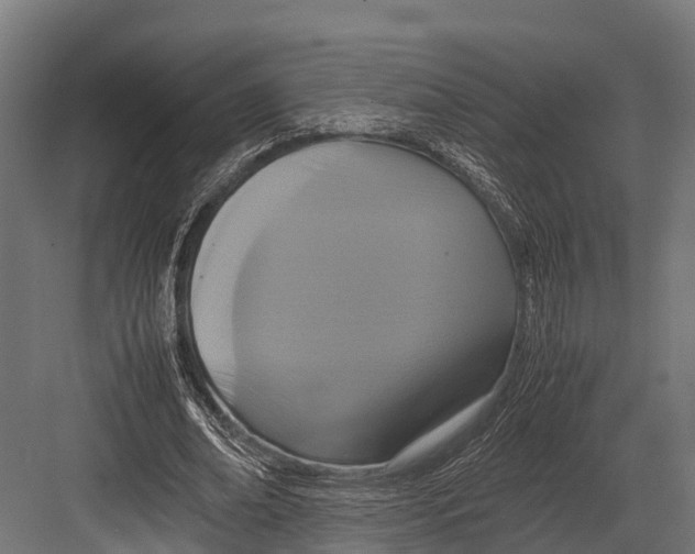 X0000081590678200702121515