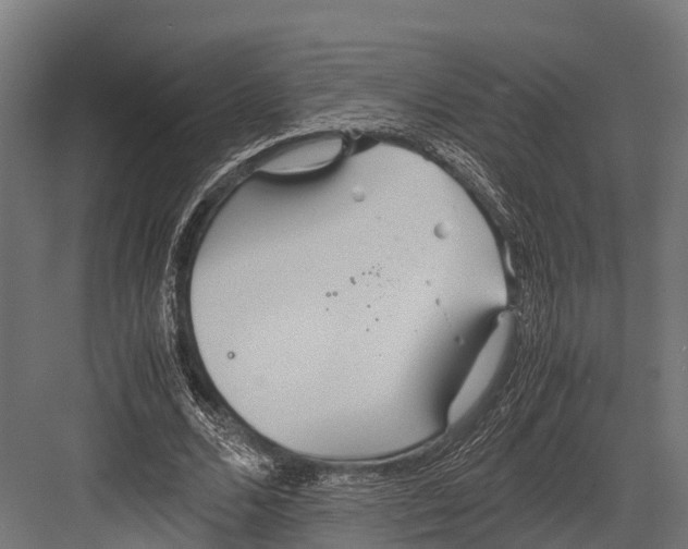 X0000081590680200702121515