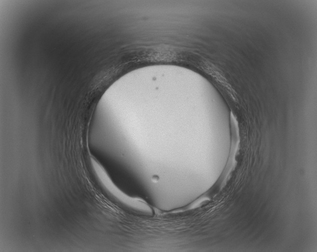 X0000081590681200702121514