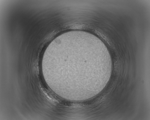 X0000081590682200702121514