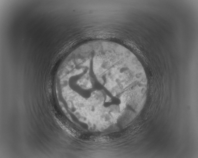 X0000081590683200702121514