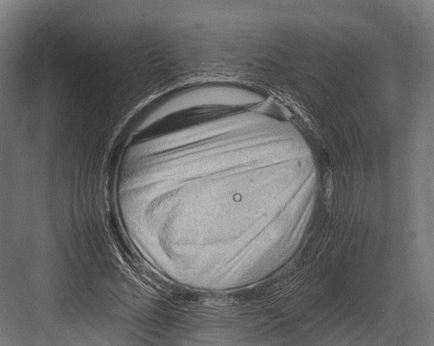 X0000081590684200702121514