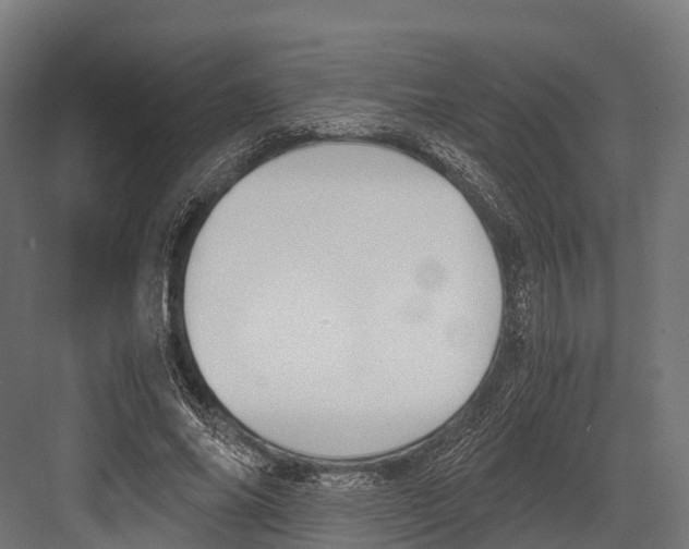 X0000081590686200702121514