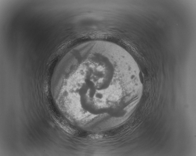 X0000081590687200702121514