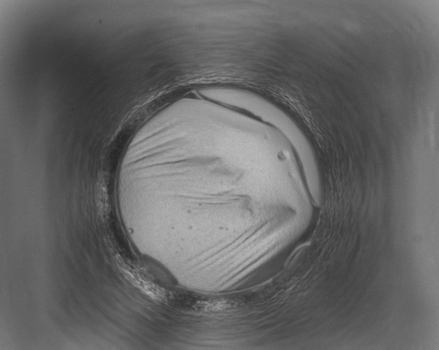 X0000081590688200702121514