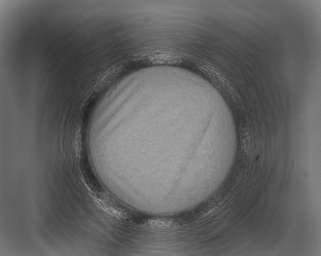 X0000081590690200702121514