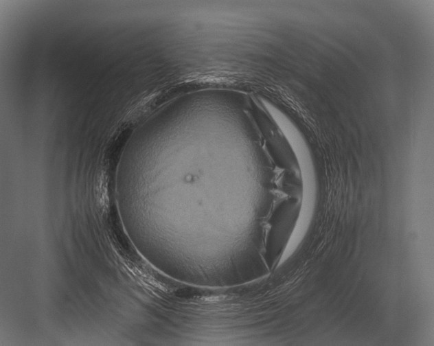 X0000081590692200702121514