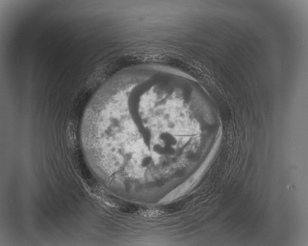 X0000081590695200702121514