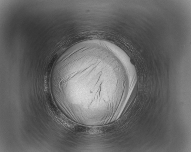 X0000081590696200702121514