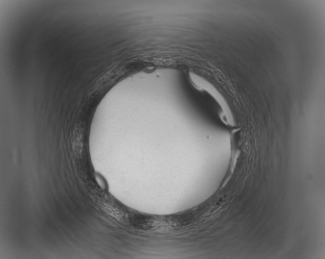 X0000081590697200702121514