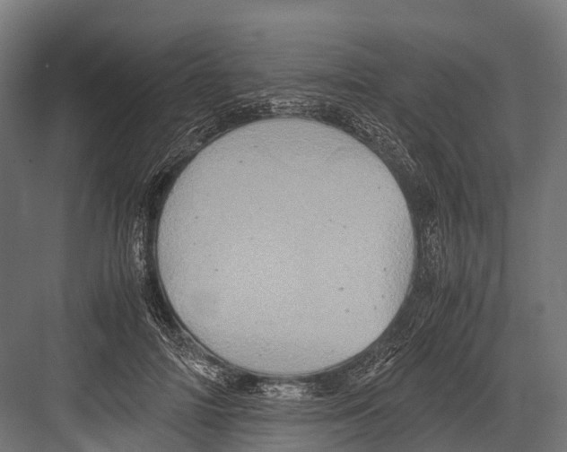 X0000081590698200702121514