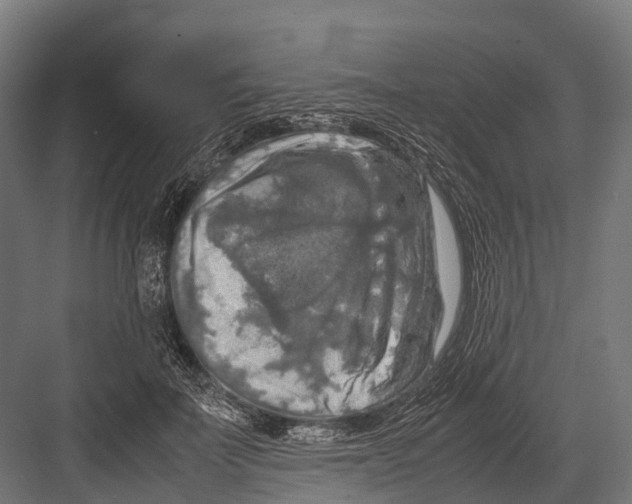 X0000081590699200702121514