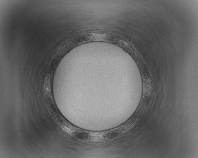 X0000081590701200702121514