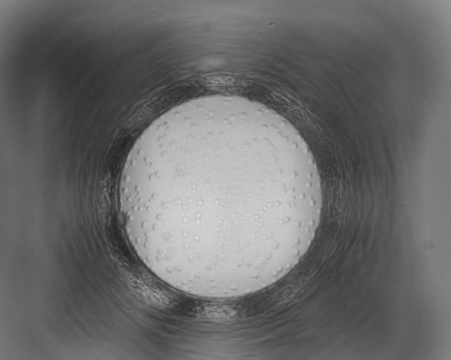 X0000081590702200702121514