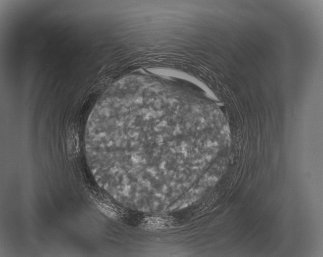 X0000081590703200702121514