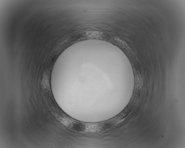 X0000081590705200702121514