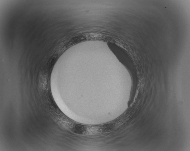 X0000081590709200702121514