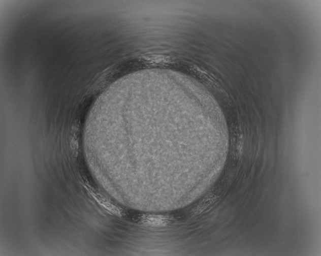 X0000081590710200702121514