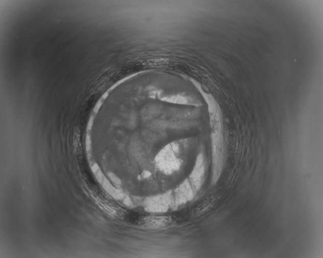 X0000081590711200702121514