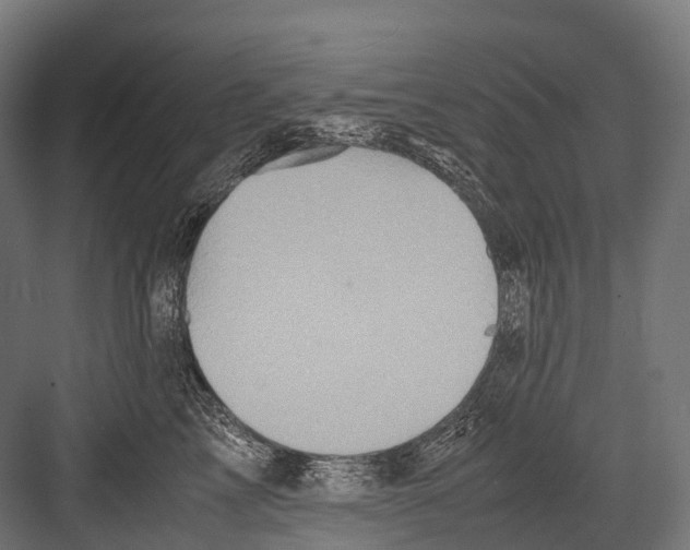 X0000081590713200702121514