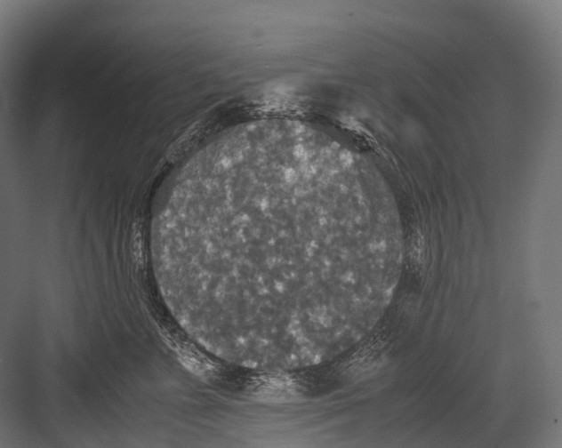 X0000081590715200702121514