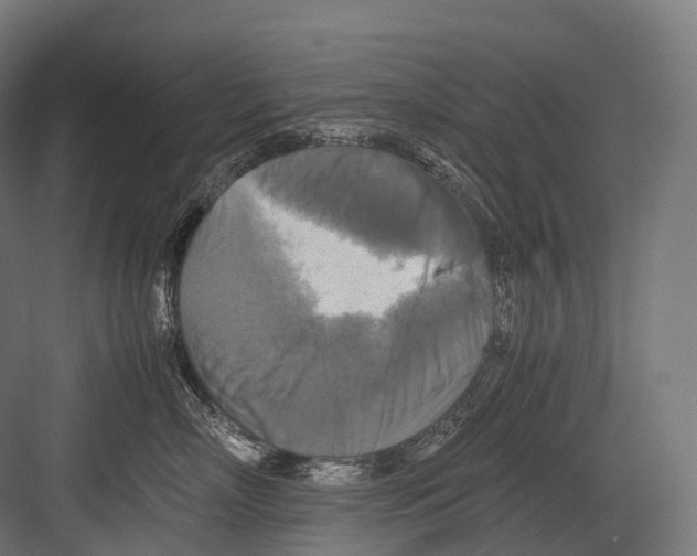 X0000081590718200702121514