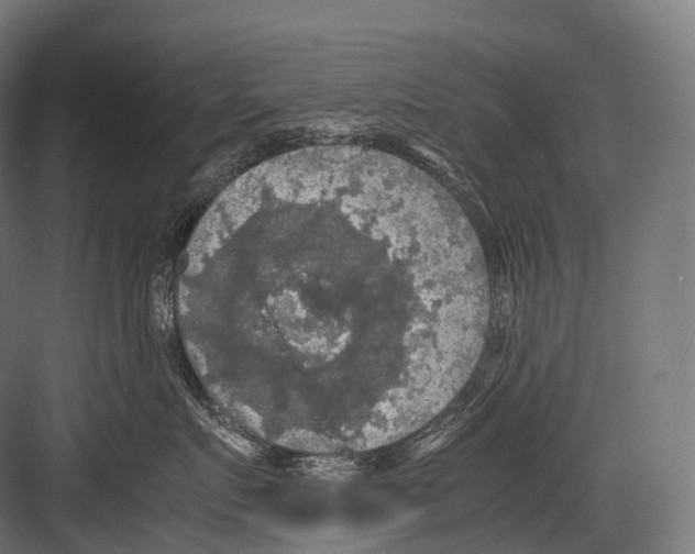 X0000081590719200702121514