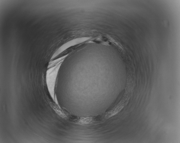 X0000081590720200702121514