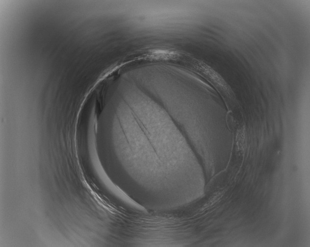 X0000081590722200702121513