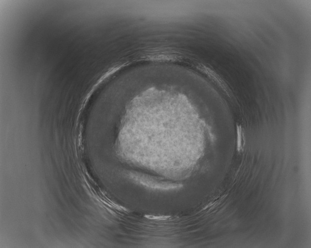 X0000081590723200702121513