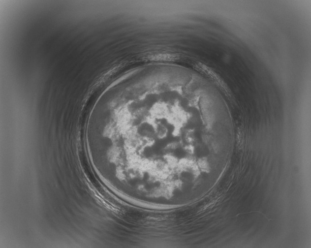 X0000081590725200702121513