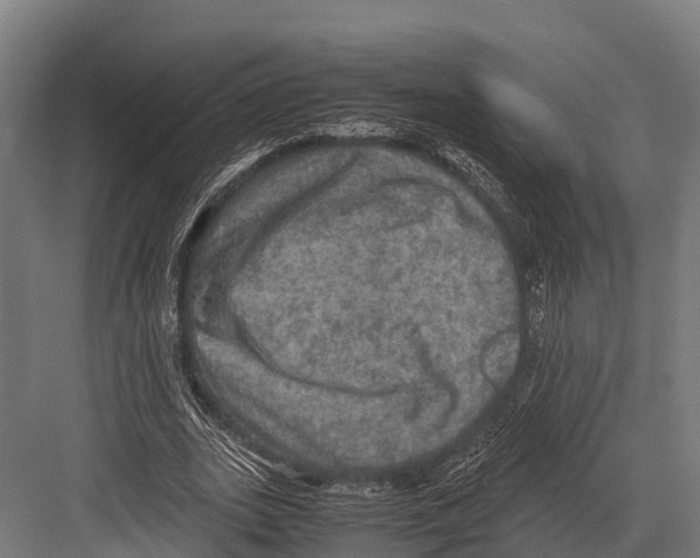 X0000081590727200702121513