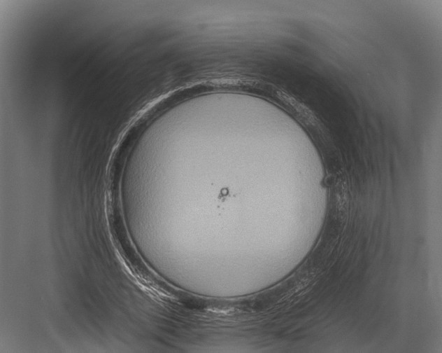 X0000081590728200702121513