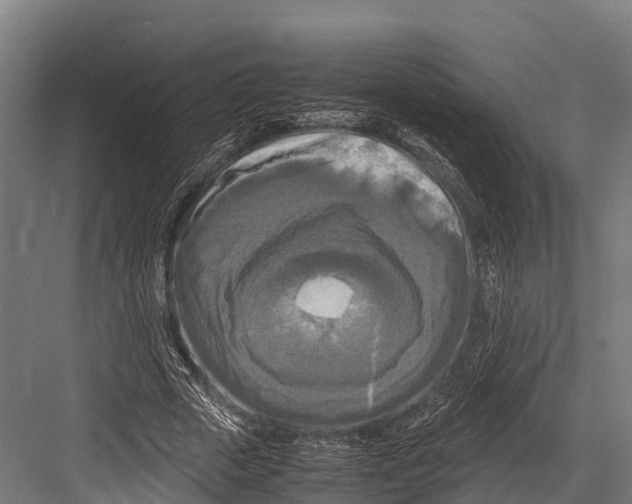 X0000081590729200702121513