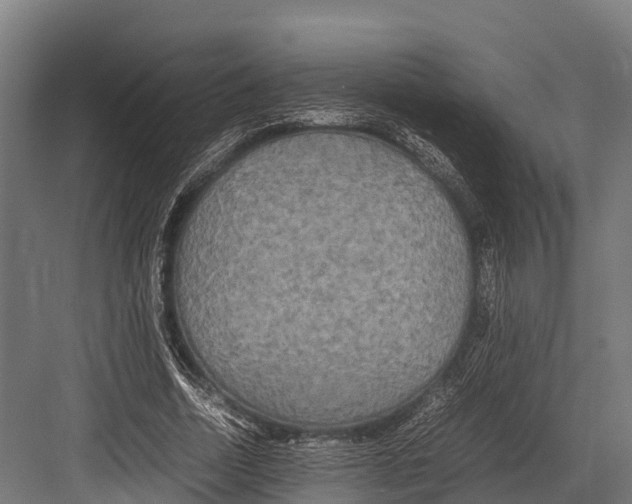 X0000081590730200702121513