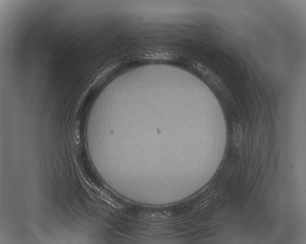 X0000081590731200702121513