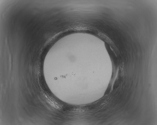 X0000081590732200702121513