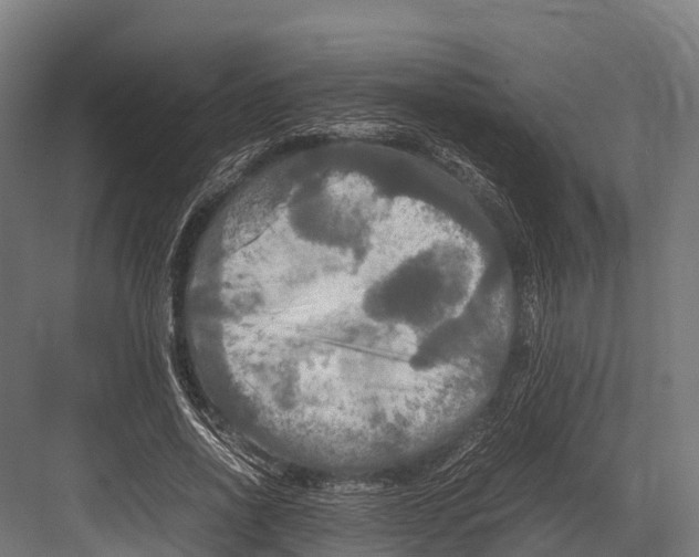 X0000081590734200702121513