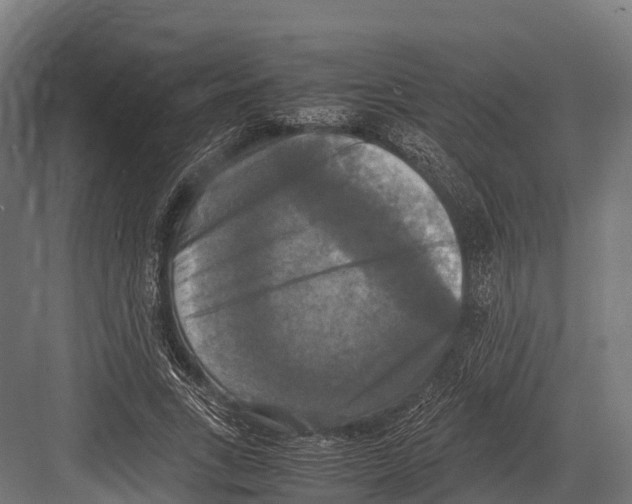 X0000081590735200702121513