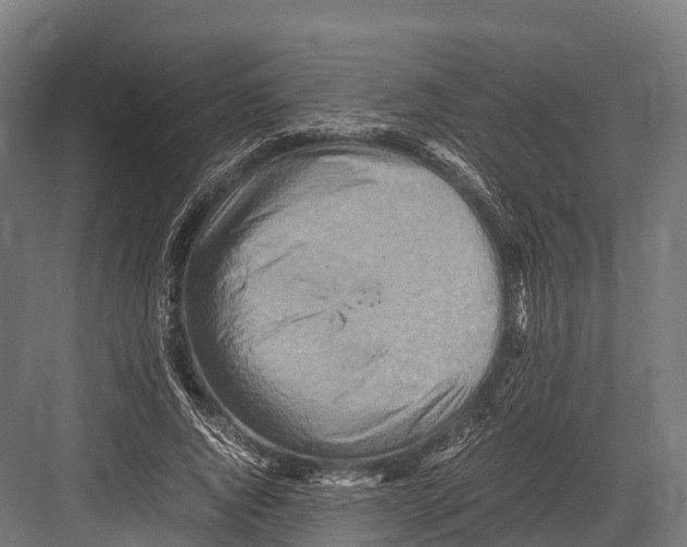 X0000081590736200702121513